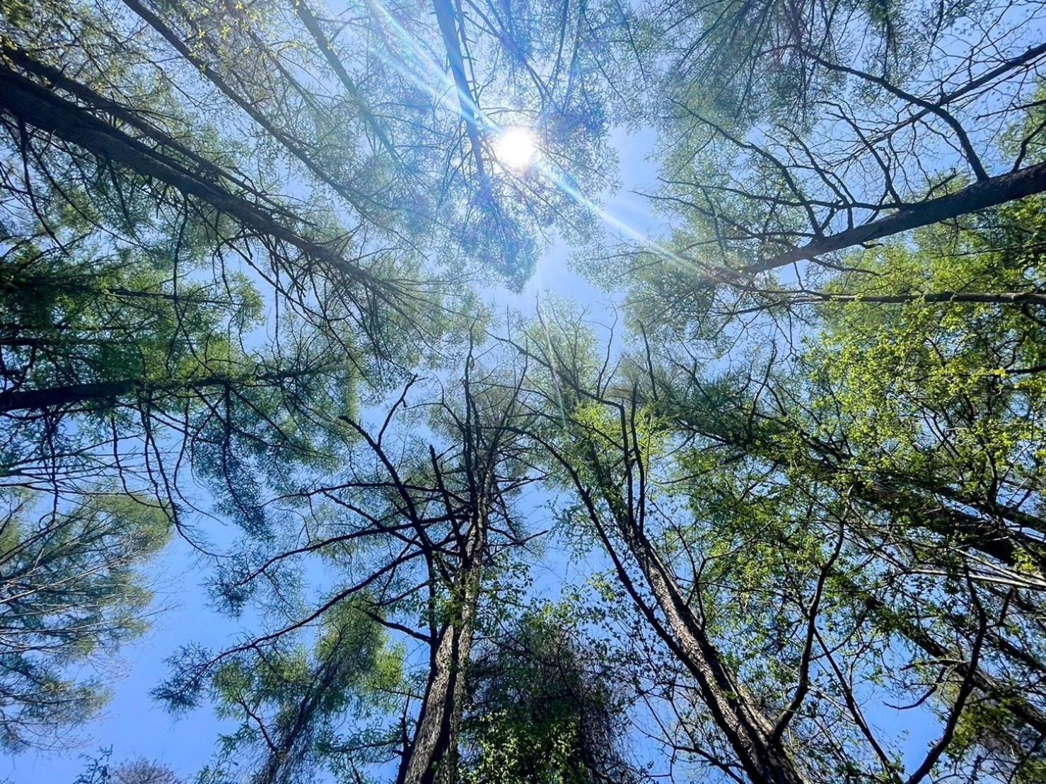 山中湖村Harelier山中湖公寓 外观 照片